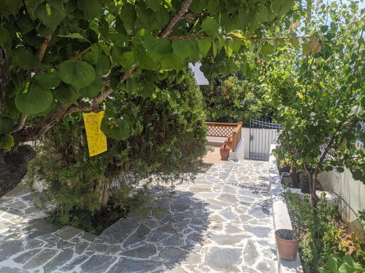 Iliakti Relaxing Seaside Villa Đảo Đảo Salamis Ngoại thất bức ảnh